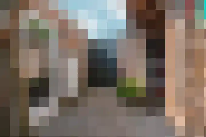 Schaapsdrift 50 Arnhem thumbnail 44