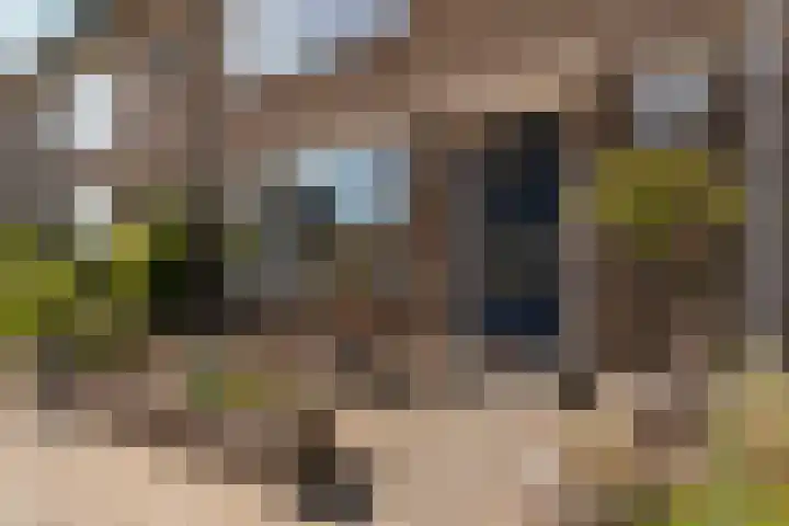 Schaapsdrift 50 Arnhem thumbnail 47