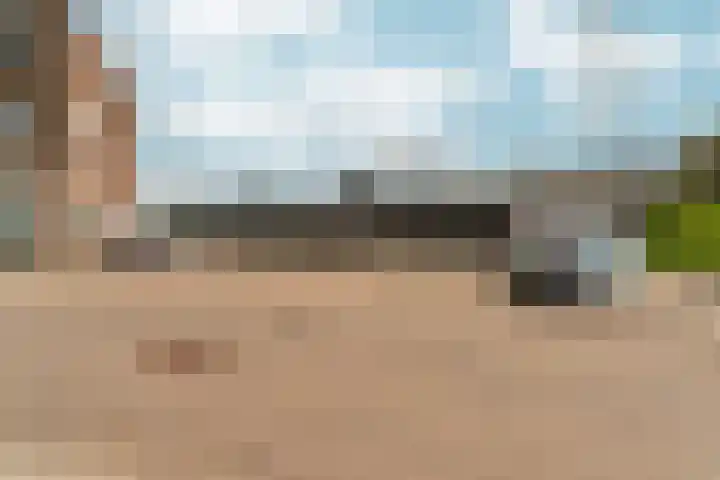 Schaapsdrift 50 Arnhem thumbnail 51