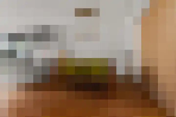 Schaapsdrift 50 Arnhem thumbnail 7