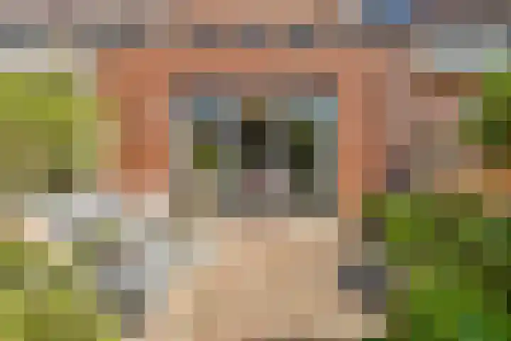 Schaapsdrift 59 Arnhem thumbnail 18