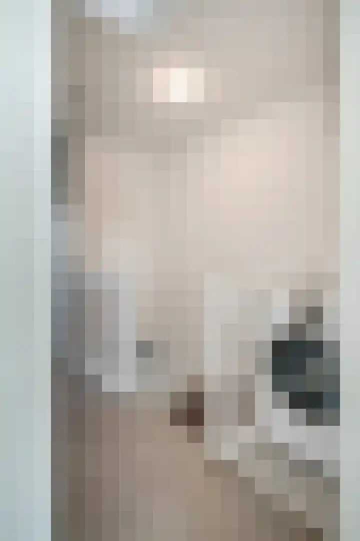 Schaapsdrift 59 Arnhem thumbnail 22