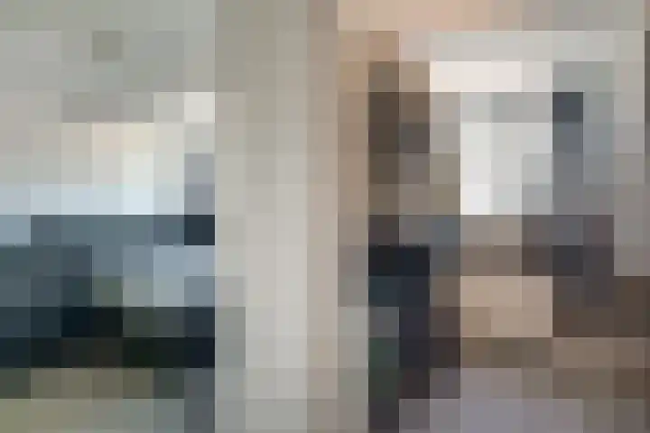 Schaapsdrift 59 Arnhem thumbnail 24