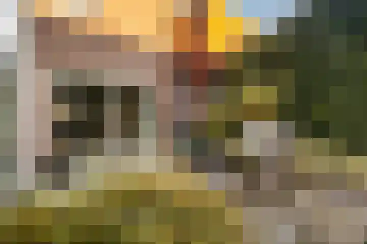 Schaapsdrift 59 Arnhem thumbnail 27