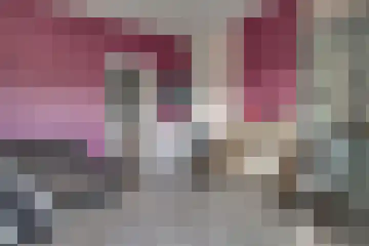 Schaapsdrift 59 Arnhem foto 3