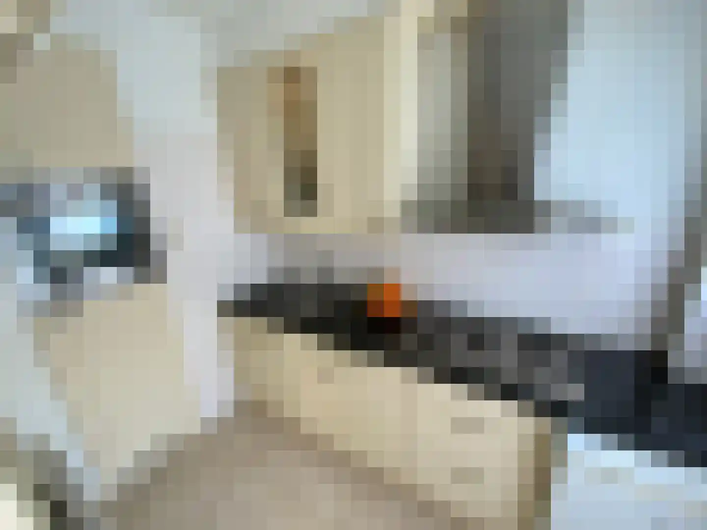 Schaapsdrift 59 Arnhem thumbnail 35