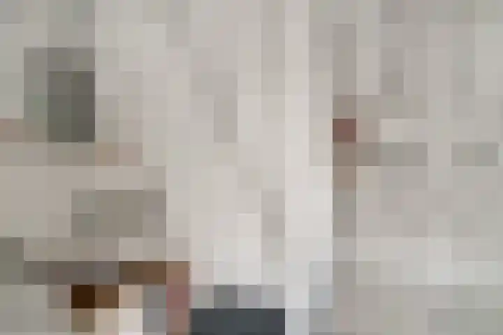 Schaapsdrift 59 Arnhem thumbnail 4