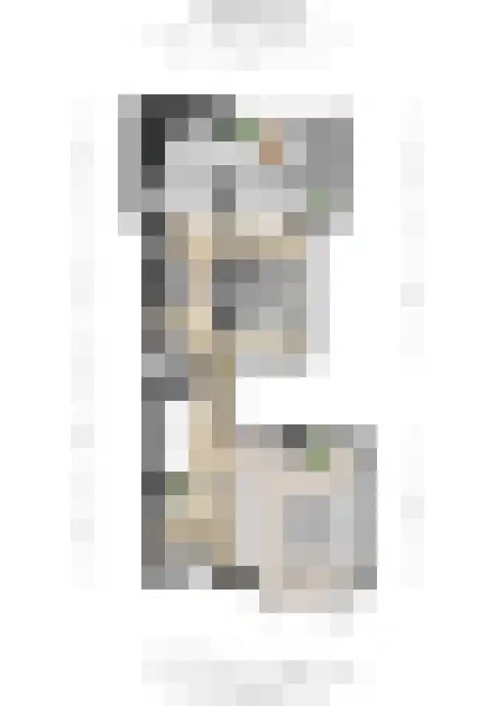 Schaapsdrift 59 Arnhem thumbnail 40