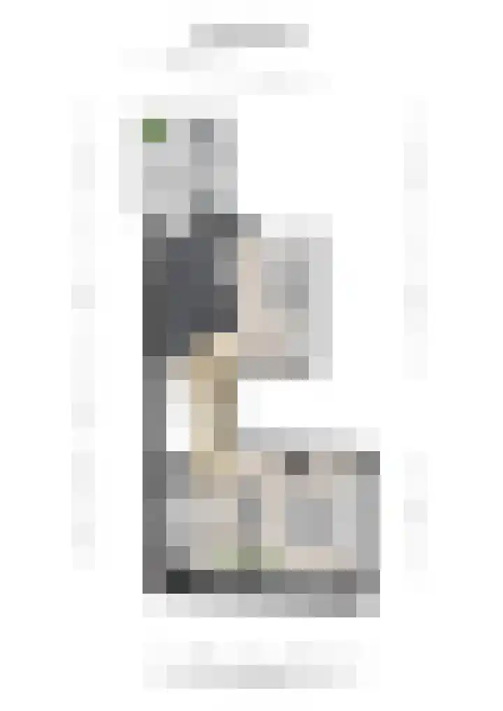 Schaapsdrift 59 Arnhem thumbnail 43