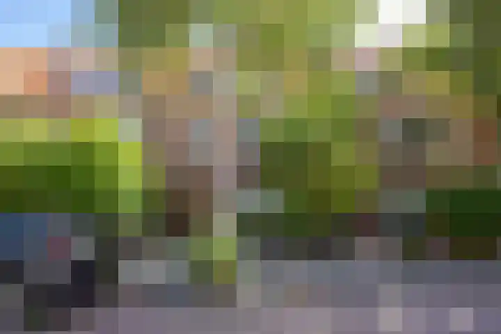 Schaapsdrift 59 Arnhem thumbnail 9