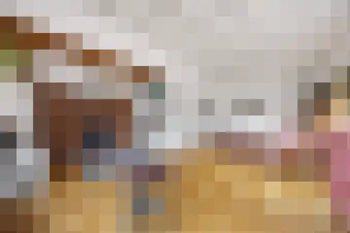 Schaapsdrift 6 Doorwerth thumbnail 15