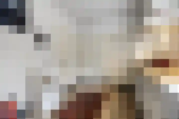 Schaapsdrift 6 Doorwerth thumbnail 22