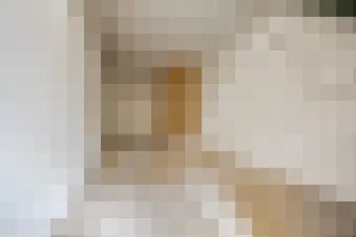 Schaapsdrift 6 Doorwerth thumbnail 27