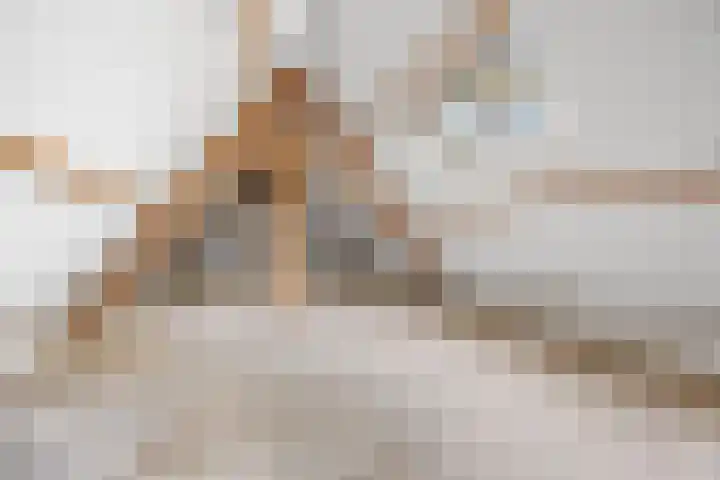 Schaapsdrift 6 Doorwerth thumbnail 29