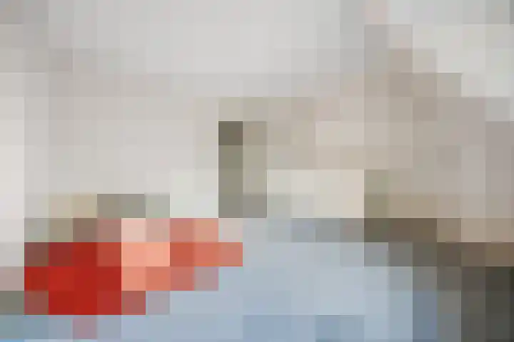 Schaapsdrift 6 Doorwerth thumbnail 34