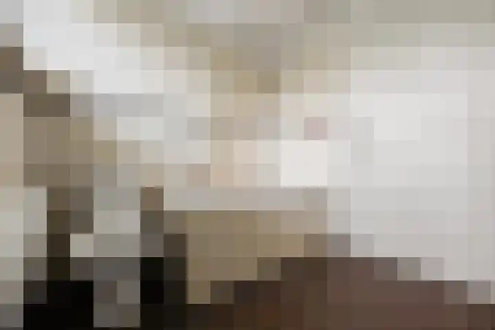 Schaapsdrift 6 Doorwerth thumbnail 4