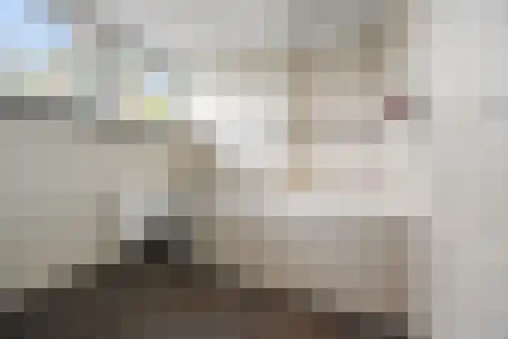 Schaapsdrift 6 Doorwerth thumbnail 44