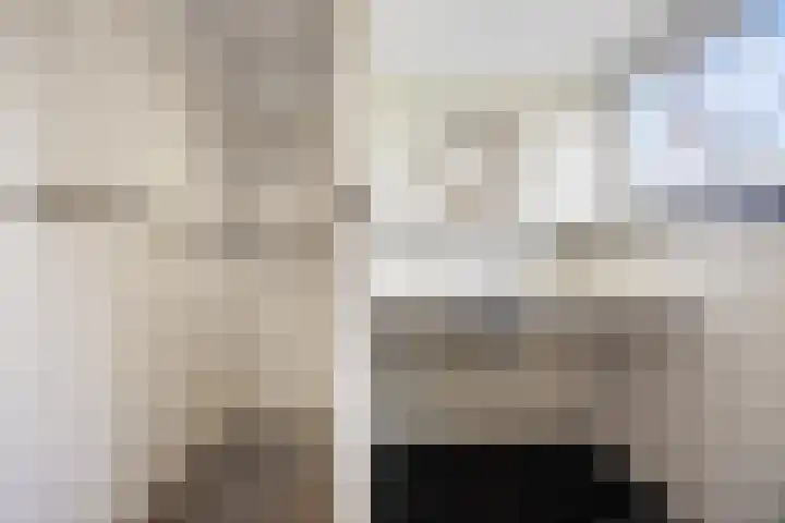 Schaapsdrift 6 Doorwerth thumbnail 45