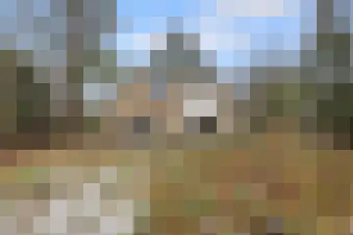 Schaapsdrift 6 Doorwerth thumbnail 48