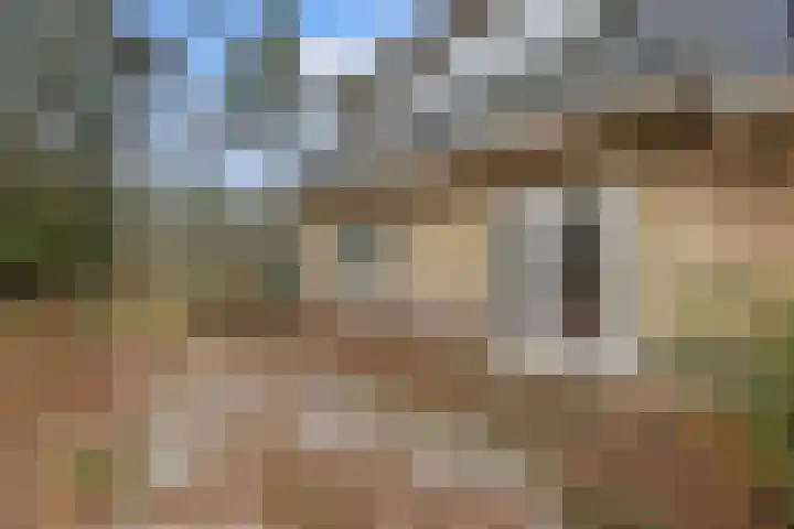 Schaapsdrift 6 Doorwerth thumbnail 50