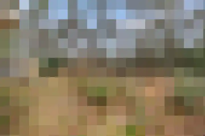 Schaapsdrift 6 Doorwerth thumbnail 52