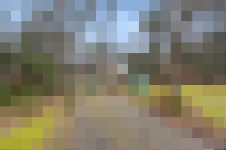 Schaapsdrift 6 Doorwerth thumbnail 55