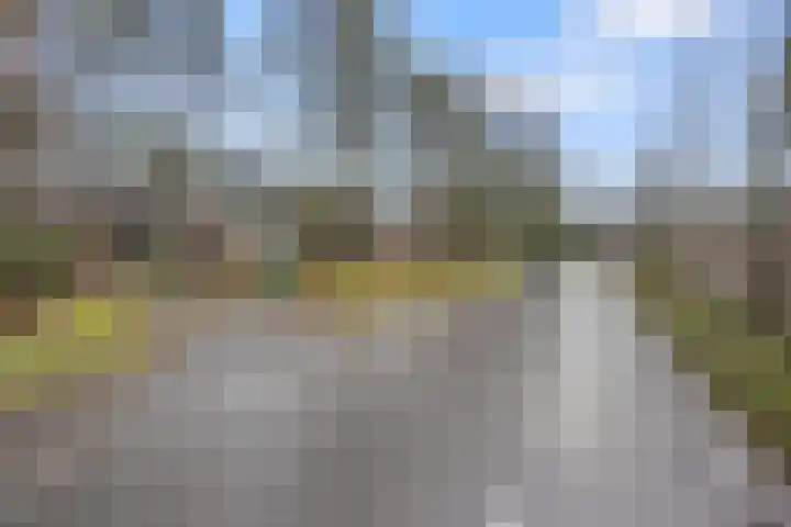 Schaapsdrift 6 Doorwerth thumbnail 56
