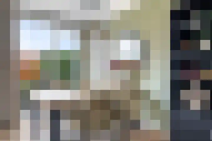 Schaapsdrift 68 Zevenaar thumbnail 12