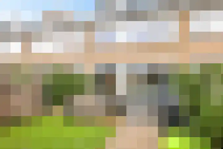 Schaapsdrift 68 Zevenaar thumbnail 36