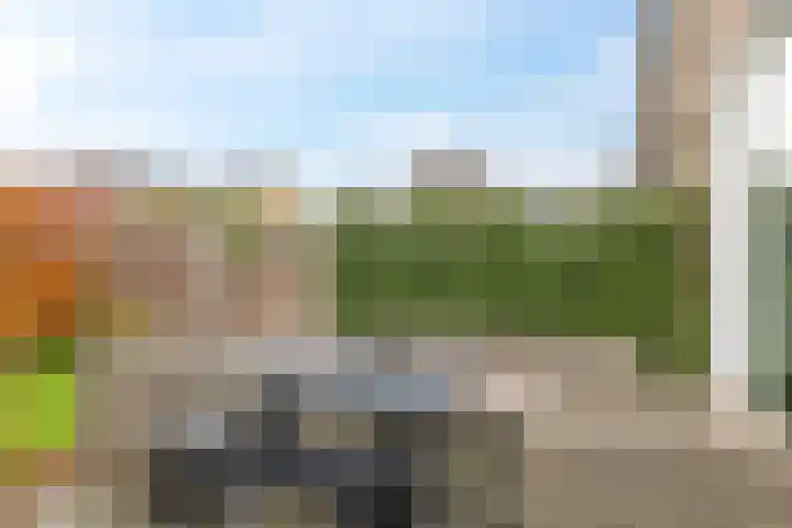 Schaapsdrift 68 Zevenaar thumbnail 42