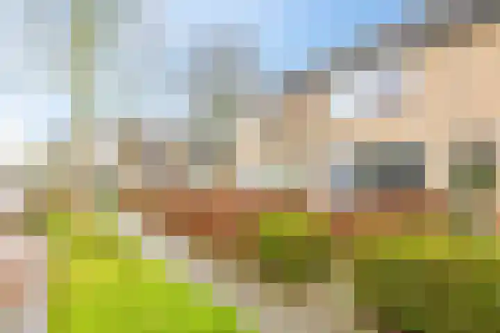 Schaapsdrift 68 Zevenaar thumbnail 46