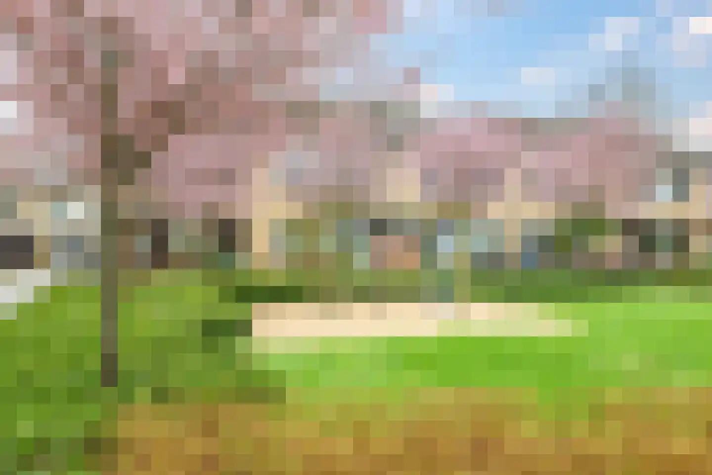 Schaapsdrift 68 Zevenaar thumbnail 47