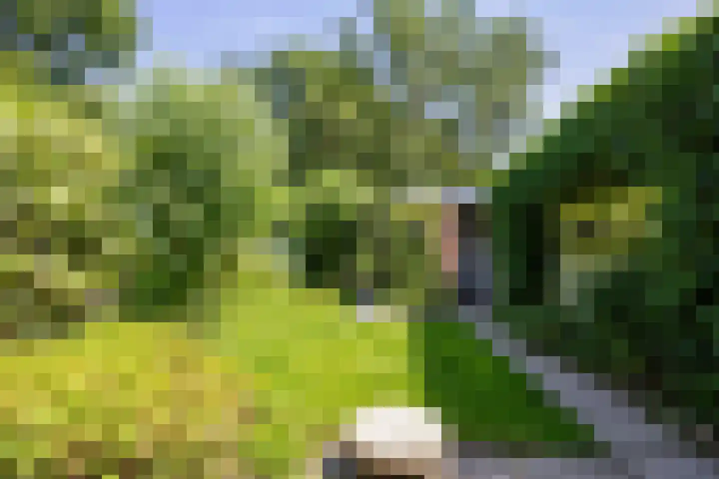 Schaapsdrift 7 Arnhem thumbnail 13