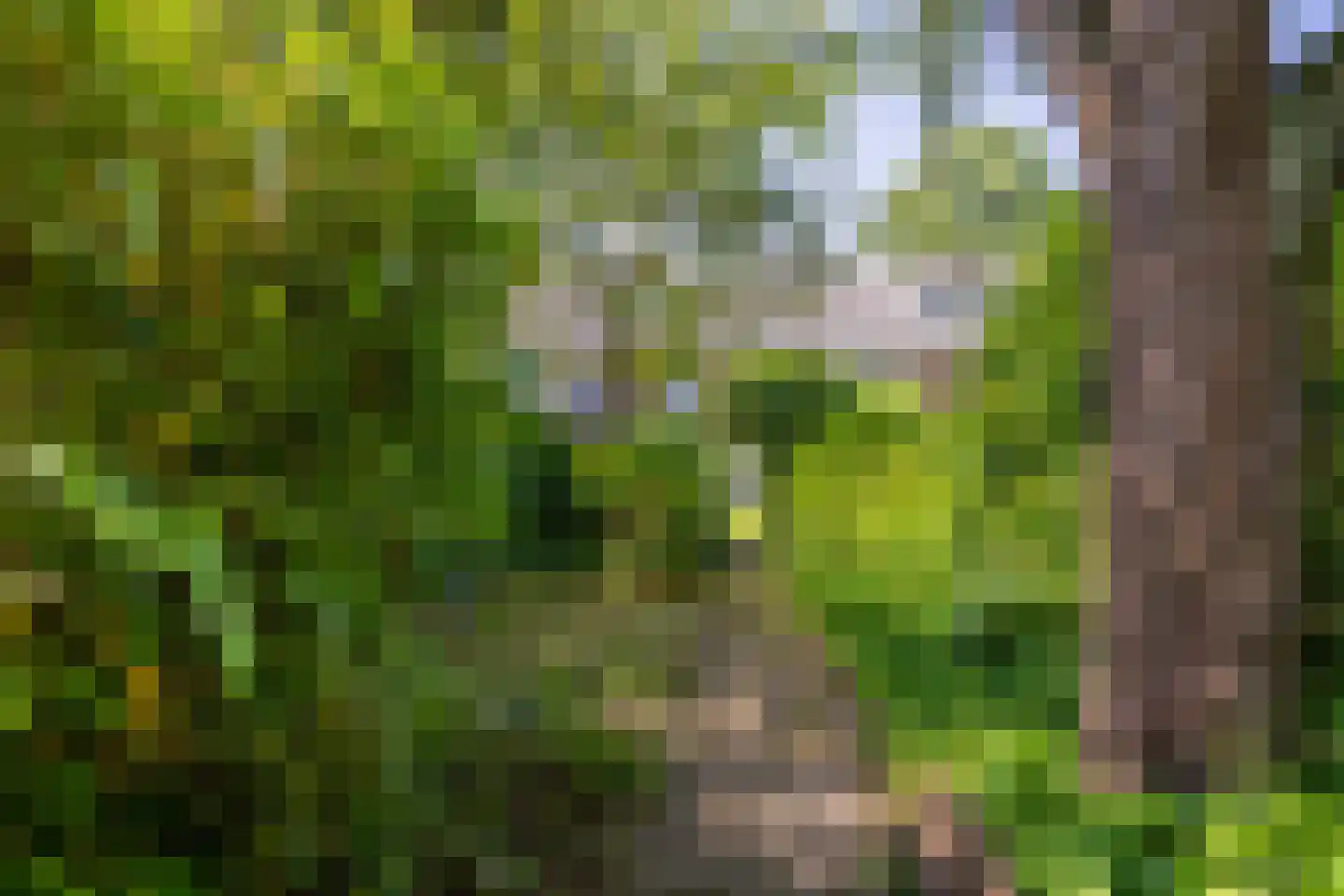 Schaapsdrift 7 Arnhem thumbnail 17