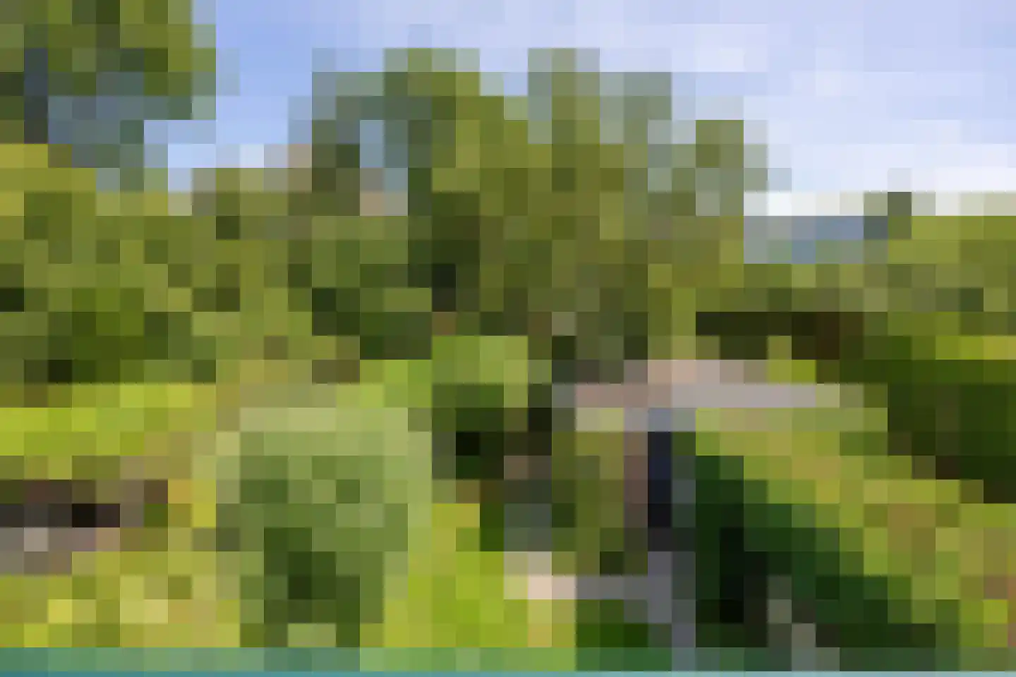 Schaapsdrift 7 Arnhem thumbnail 26