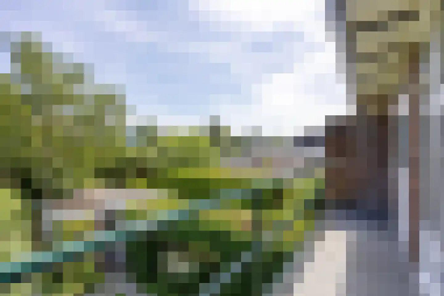 Schaapsdrift 7 Arnhem thumbnail 27