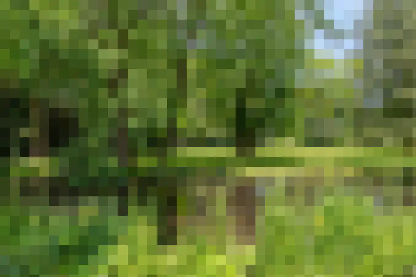 Schaapsdrift 7 Arnhem thumbnail 36