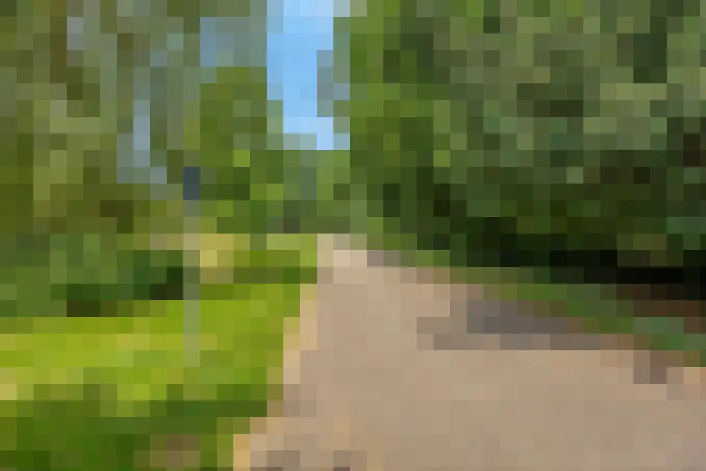 Schaapsdrift 7 Arnhem thumbnail 37