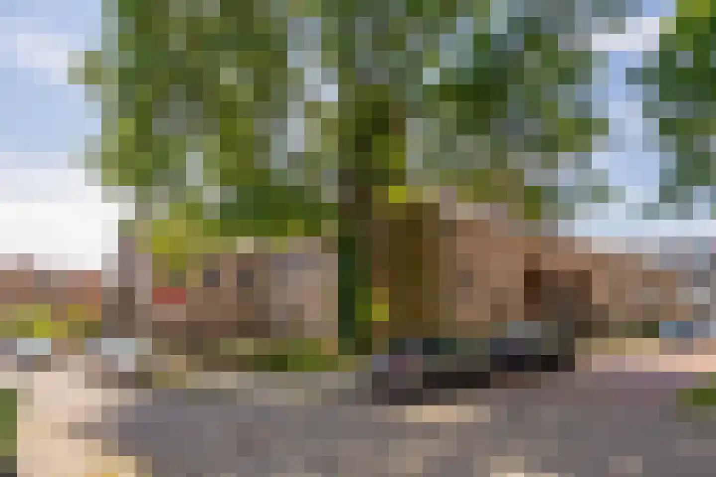 Schaapsdrift 7 Arnhem thumbnail 38