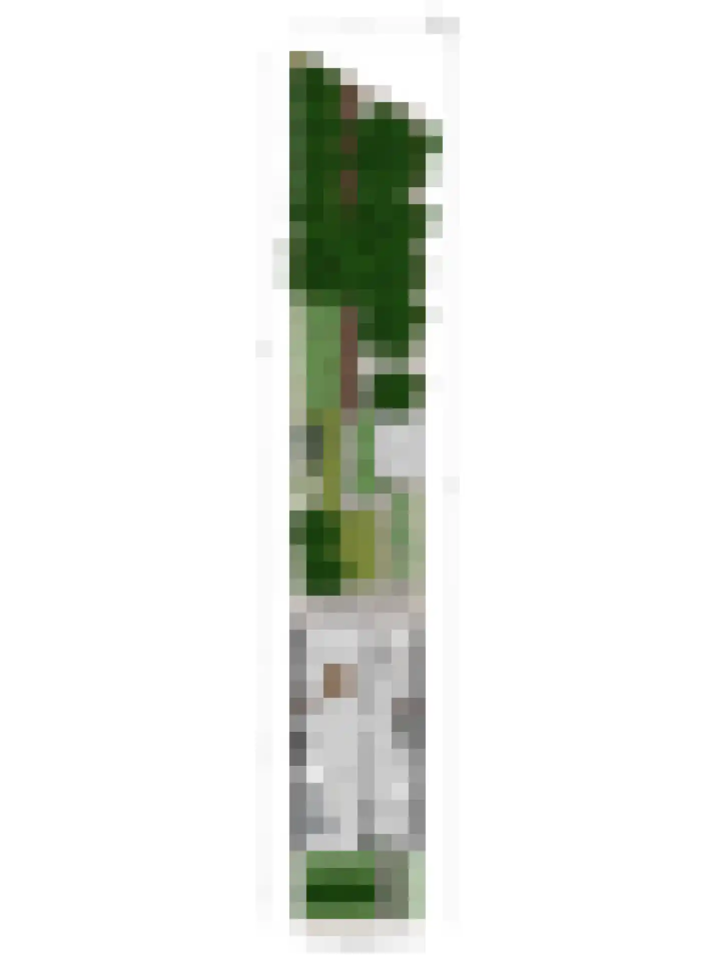 Schaapsdrift 7 Arnhem thumbnail 41