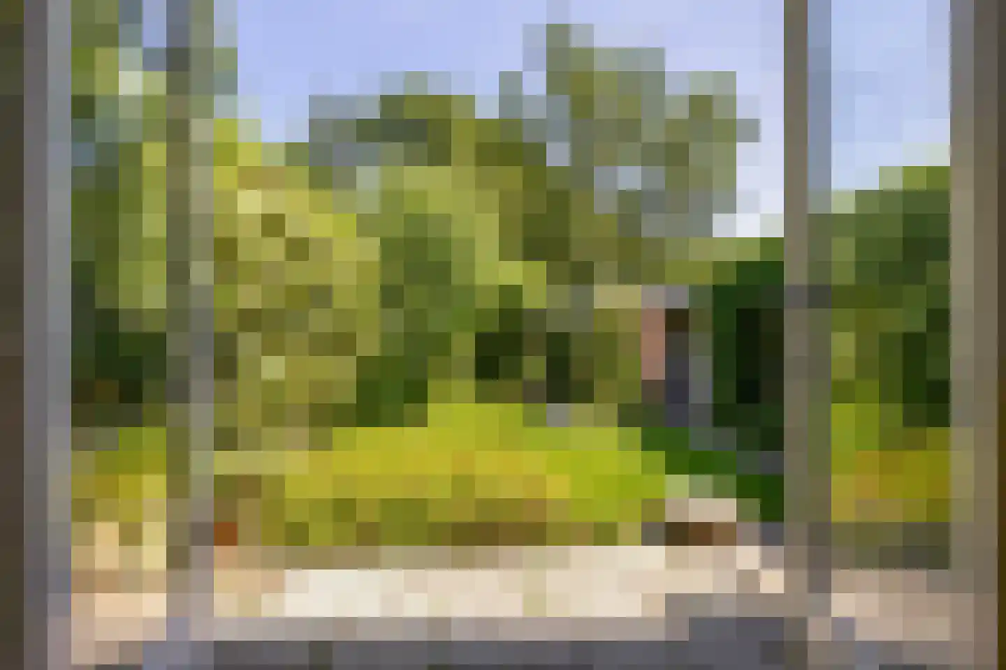 Schaapsdrift 7 Arnhem thumbnail 8