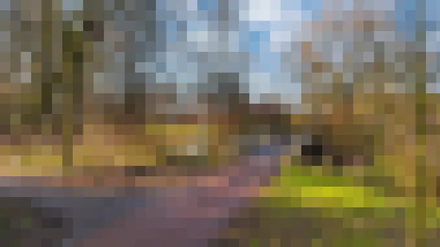 Schaapsdrift 76 Zevenaar thumbnail 39