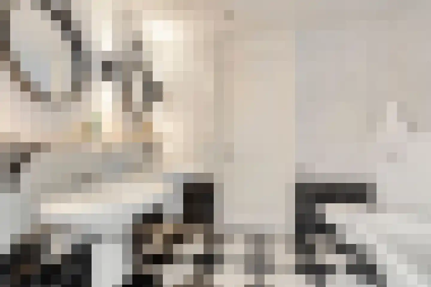 Schaapsdrift 8 Beek thumbnail 26