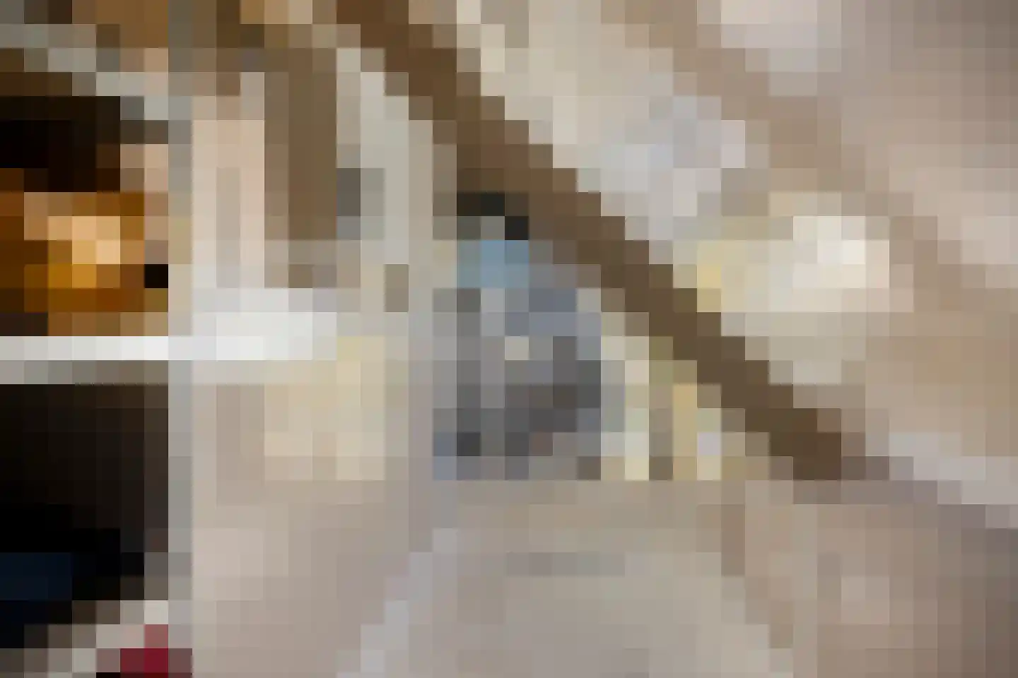 Schaapsdrift 8 Beek thumbnail 36