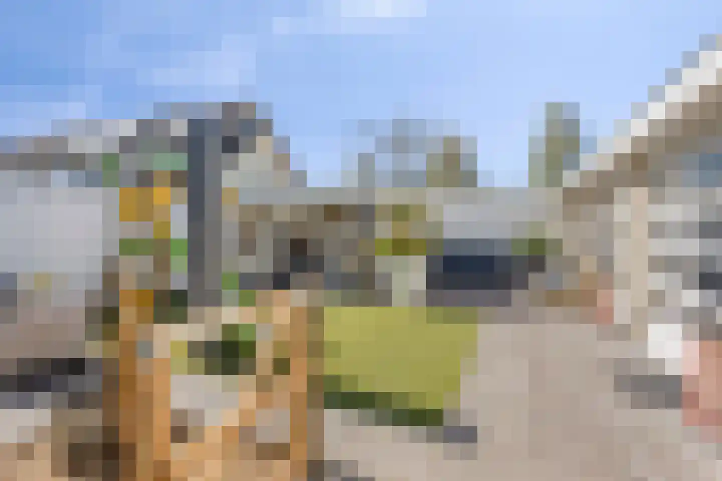 Schaapsdrift 8 Beek thumbnail 41