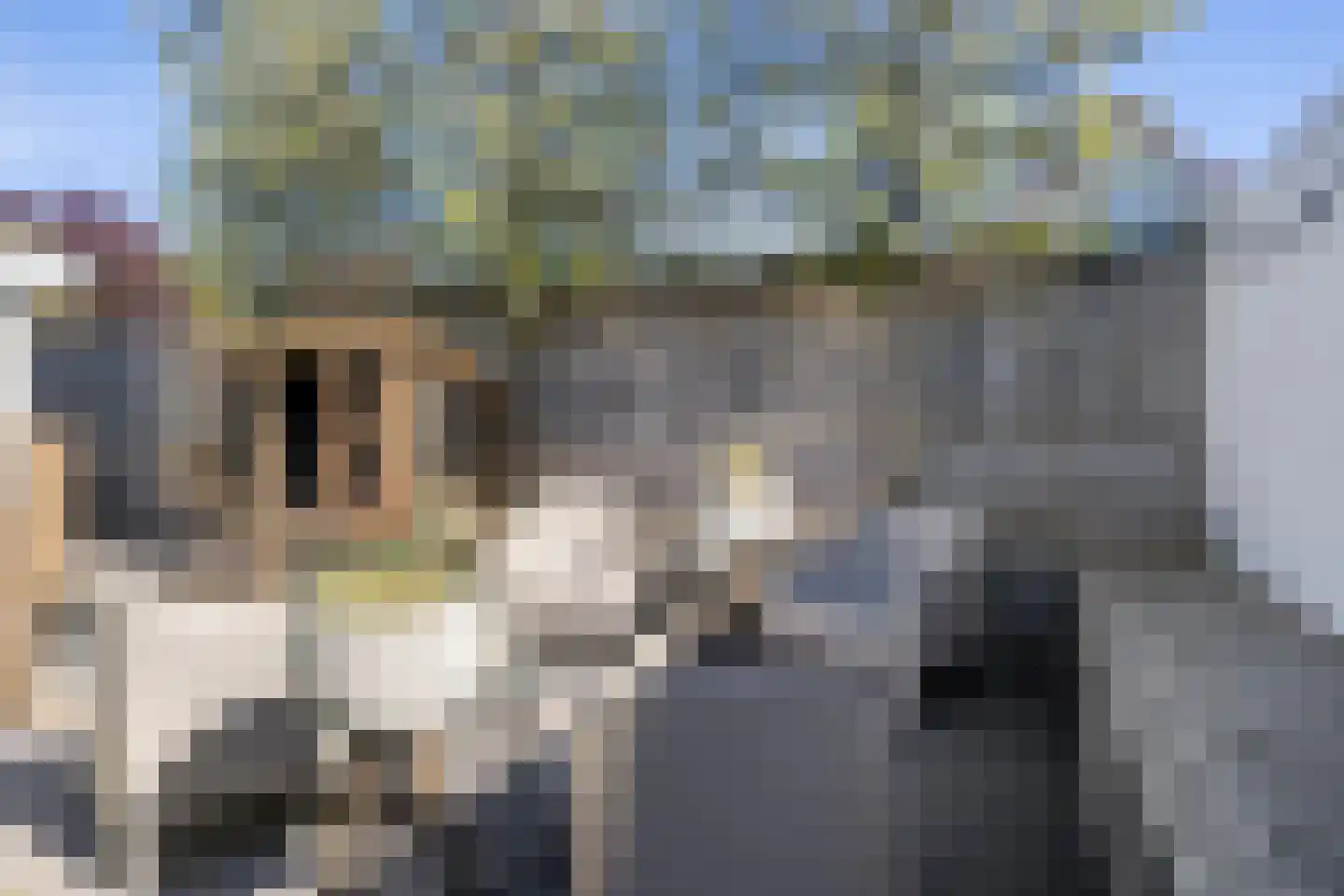 Schaapsdrift 8 Beek thumbnail 45