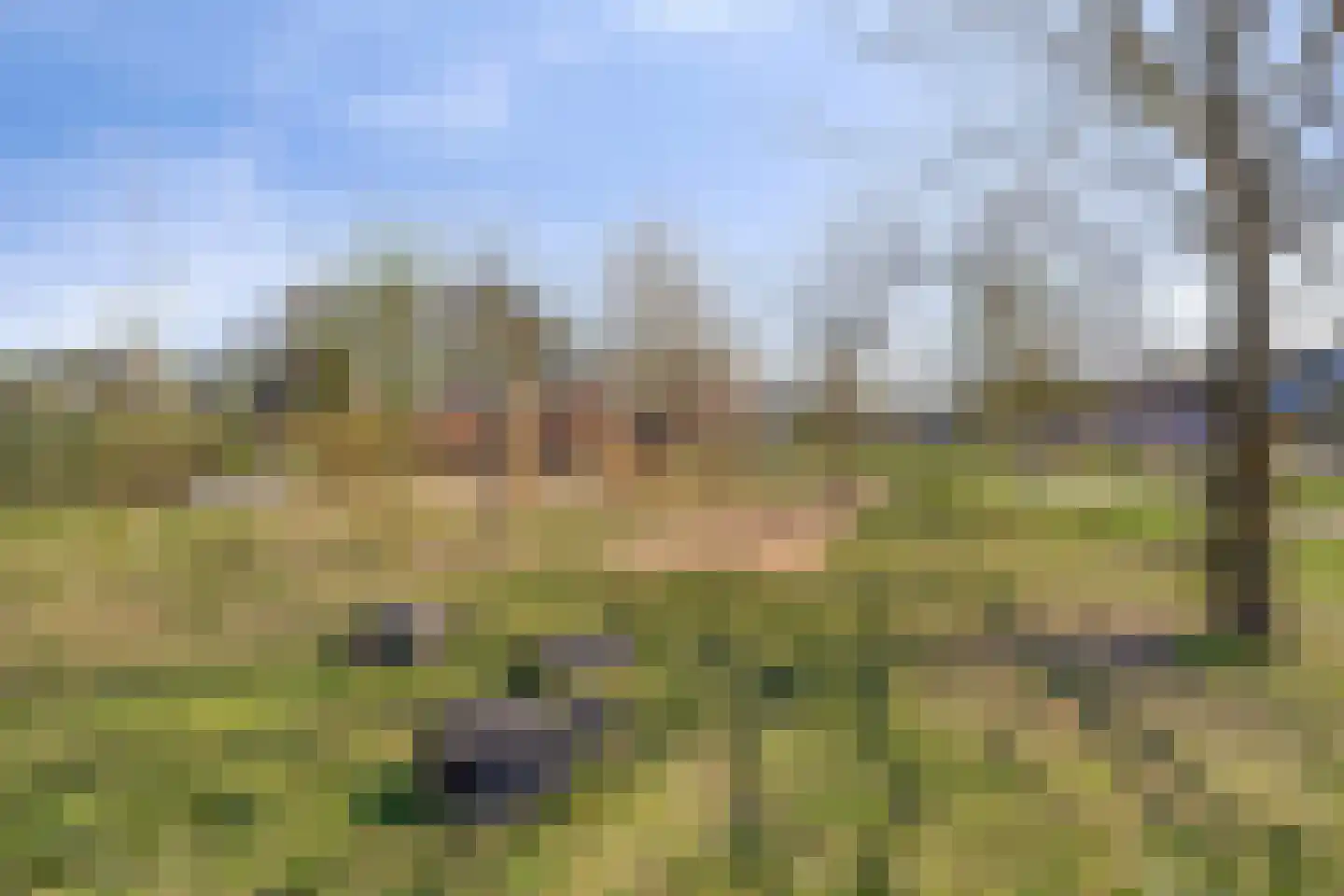 Schaapsdrift 8 Beek thumbnail 47