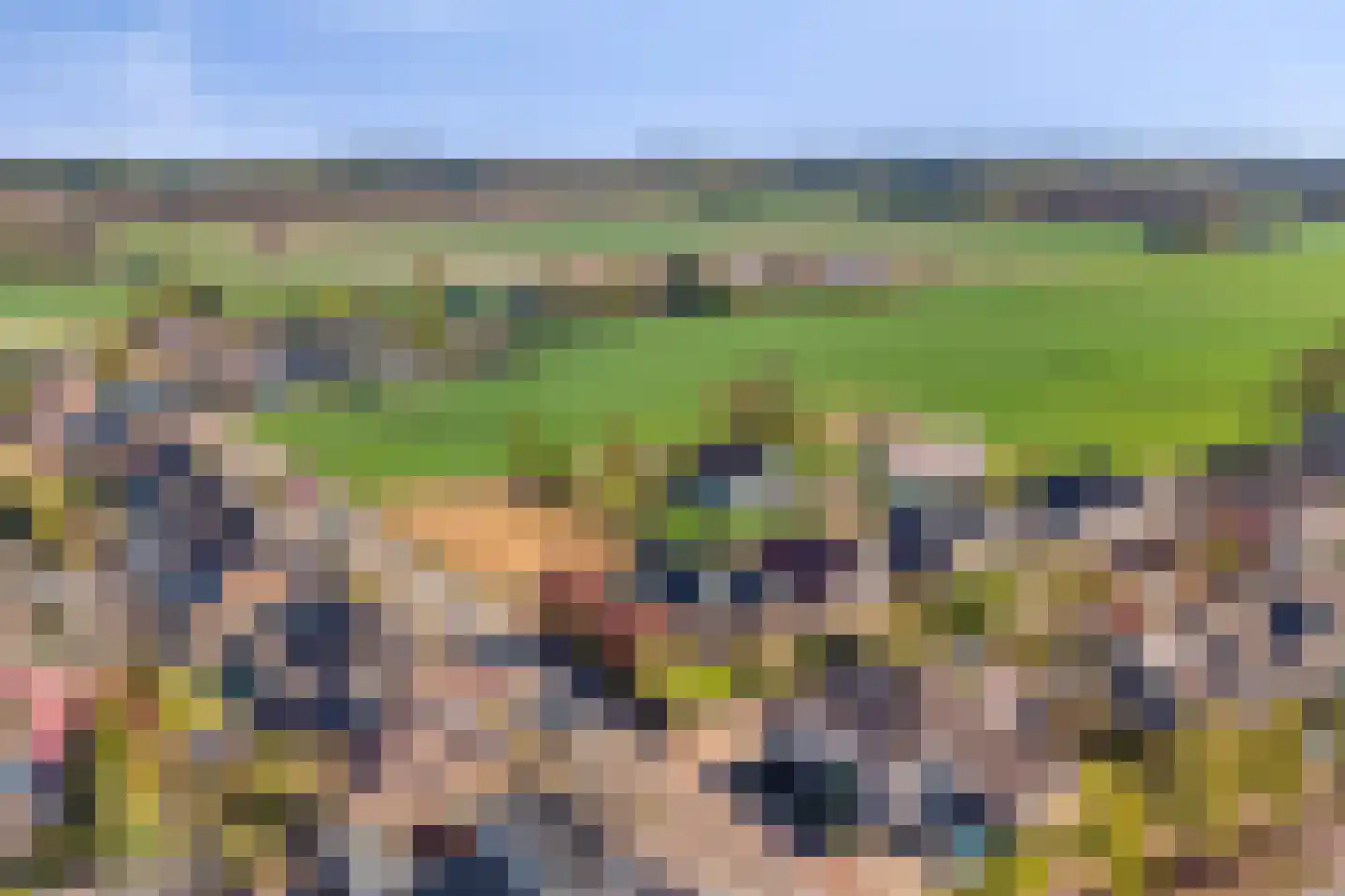 Schaapsdrift 8 Beek thumbnail 49