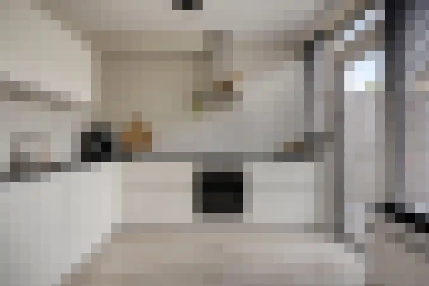 Schaapsdrift 8 Zevenaar thumbnail 13