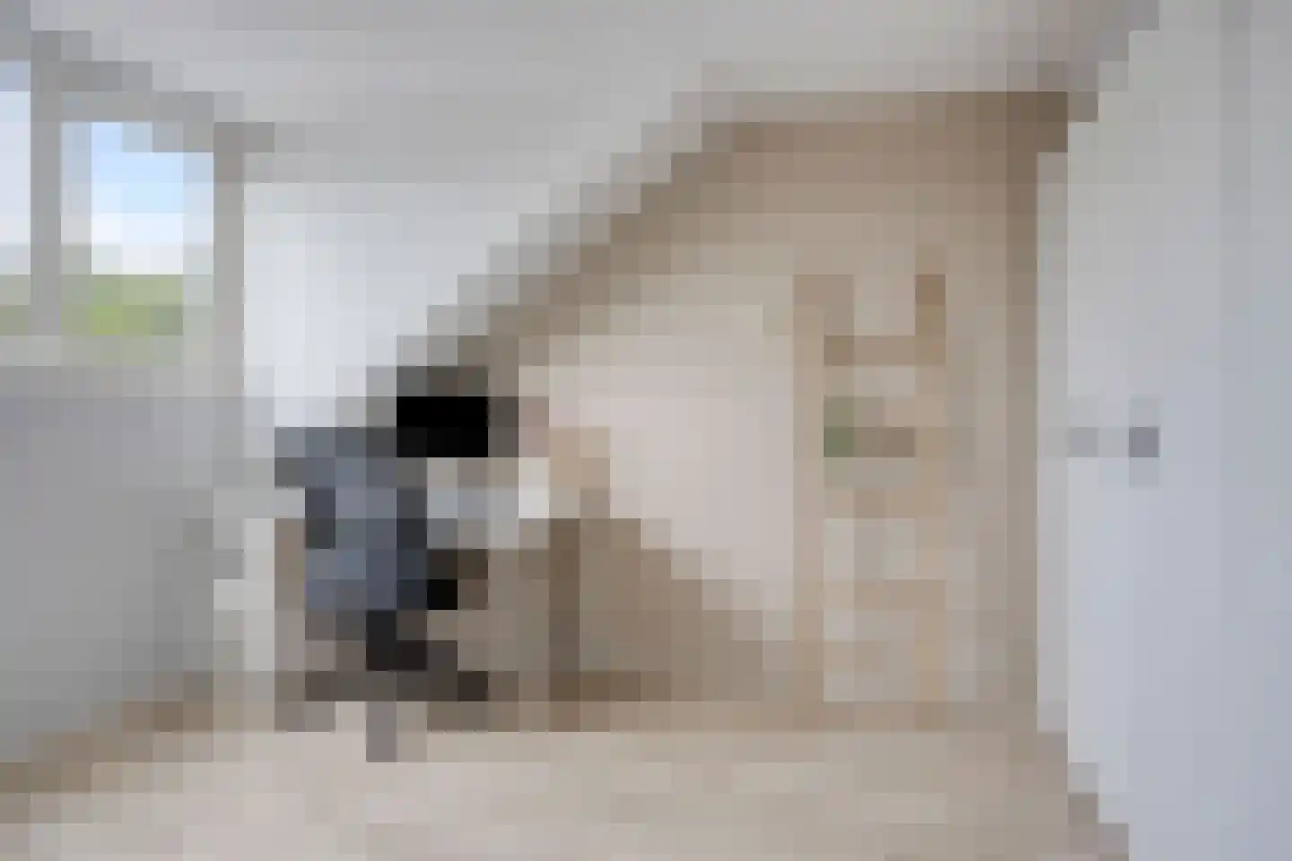 Schaapsdrift 8 Zevenaar thumbnail 30